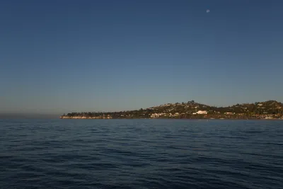 DSC_6577 (Large).JPG